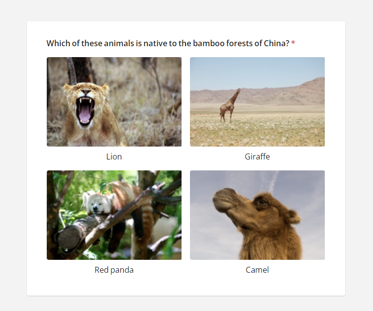 SurveyJS Quiz Maker: Multi-Select Image Question